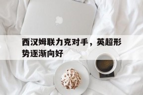 金年会官网-西汉姆联力克对手，英超形势逐渐向好的简单介绍