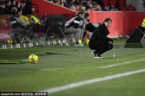 金年会app-关于马洛卡再度遭遇波折，球队寻求突破的信息