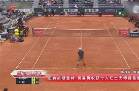 匈牙利客场逆转威尔士，晋级希望重新燃起的简单介绍