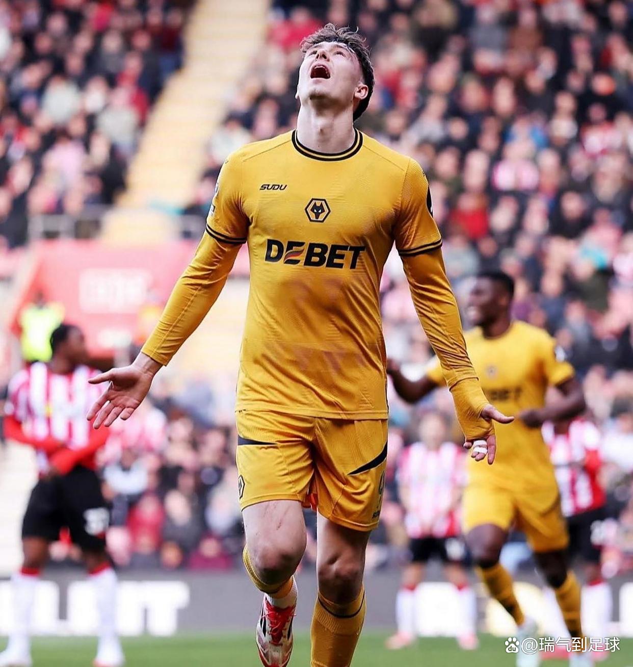 关于纽卡斯尔主场告负,降级形势愈发严峻的信息 关于纽卡斯尔主场告负,降级形势愈发严峻的信息