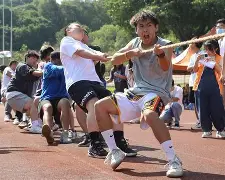 包含上海申鑫胜利破颓势，士气提升欲挑战高位的词条